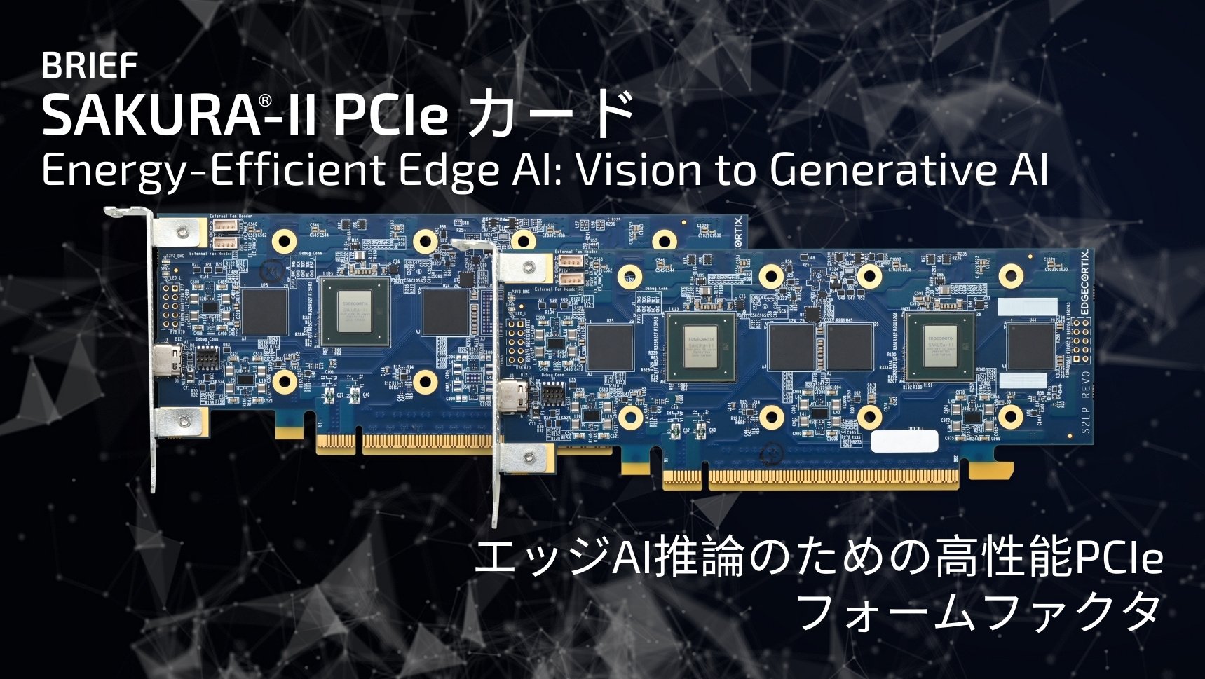 SAKURA-II-Brief-PCIe-JP-Thumb-09-24